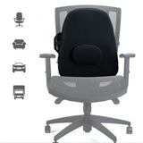 Lowback Backrest Support